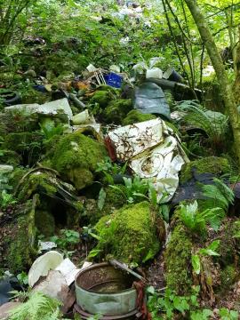 Sanacija črnega odlagališča – Banova jama 014